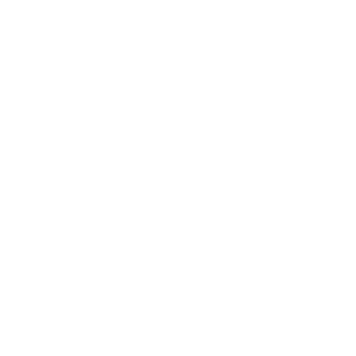 Checkpoint-web