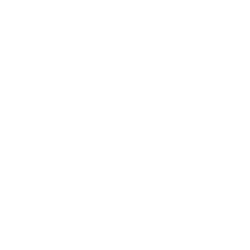 Minsalt-web